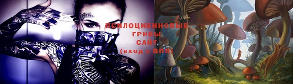a pvp Дмитриев