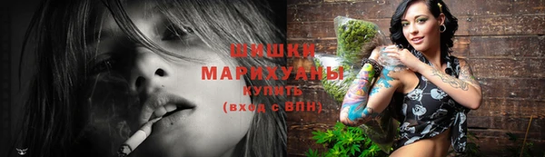 молекула духа Дмитровск