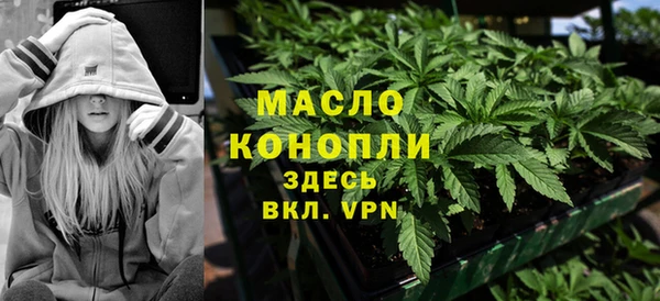 молекула духа Дмитровск