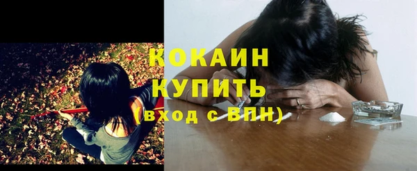 a pvp Дмитриев