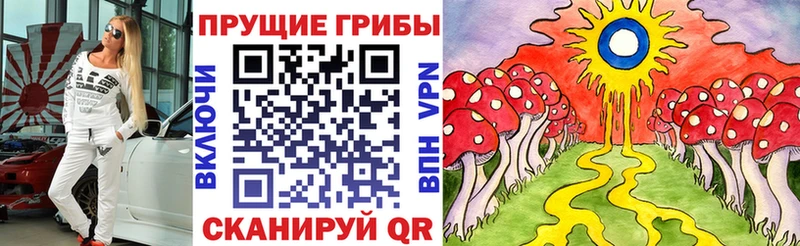 Псилоцибиновые грибы Psilocybine cubensis  Купить  Ленинск 